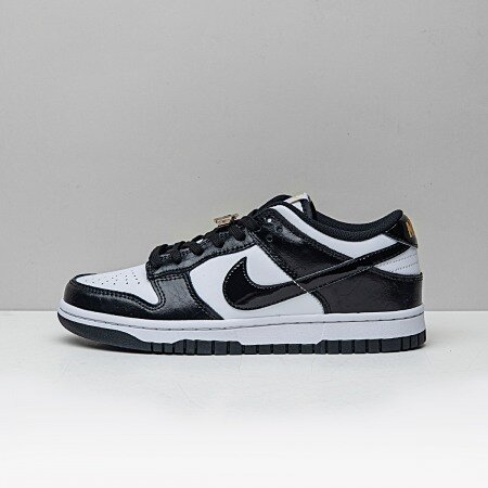 Nike Dunk Low World Champs Black White DR9511-100