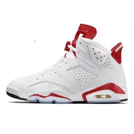 Air Jordan 6 