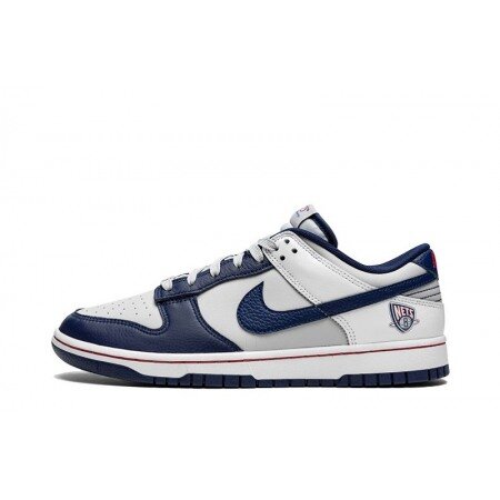 NBA x Nike Dunk Low 